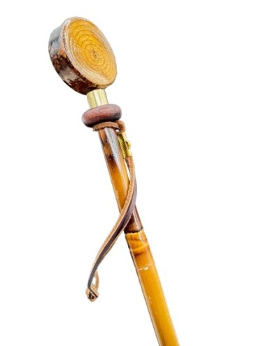 FUSTA AMAZONA BAMBU Y MADERA FORN CABALLO F24