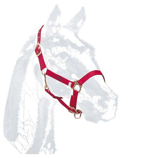 CABEZON NYLON PVC ZALDI CASTECUS ROJO
