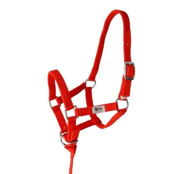 CABEZON NYLON FOAL HH 043620