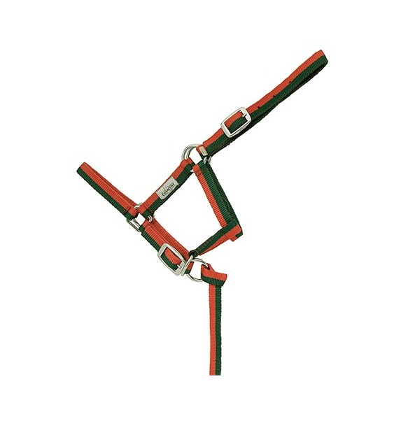 CABEZON NYLON FOAL HH 043620