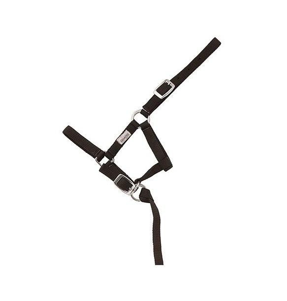 CABEZON NYLON FOAL HH 043620