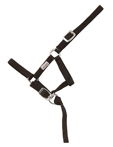 CABEZON NYLON FOAL HH