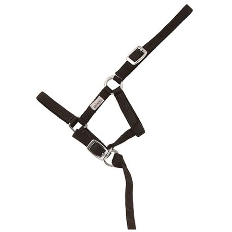 CABEZON NYLON FOAL HH 043620