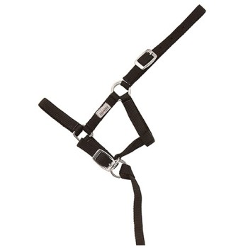 CABEZON NYLON FOAL HH 043620