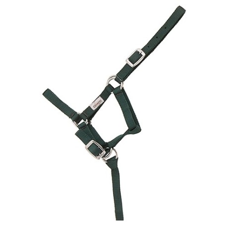 CABEZON NYLON FOAL HH 043620