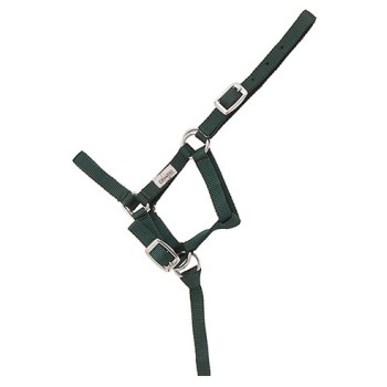 CABEZON NYLON FOAL HH 043620