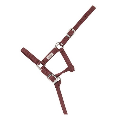 CABEZON NYLON FOAL HH 043620
