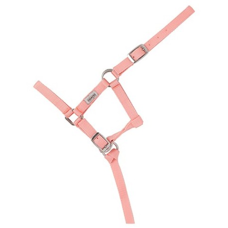 CABEZON NYLON FOAL HH 043620