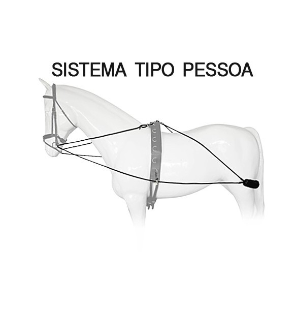 SISTEMA ENTRENAMIENTO LEXHIS TIPO PESSOA