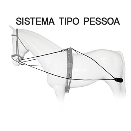 SISTEMA ENTRENAMIENTO LEXHIS TIPO PESSOA
