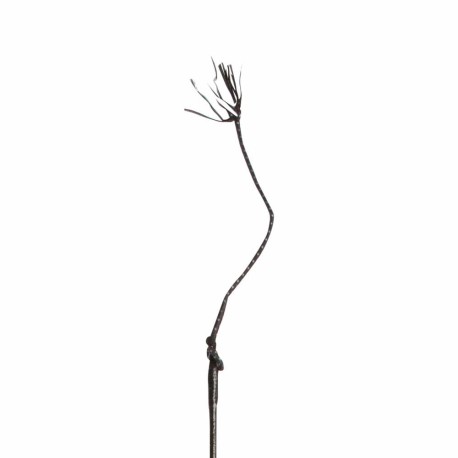 FUSTA DOMA 120CM 301C NEGRO