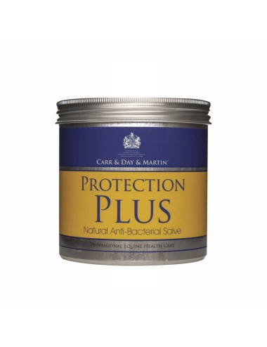 DAY MARTIN PROTECTION PLUS 500ML.