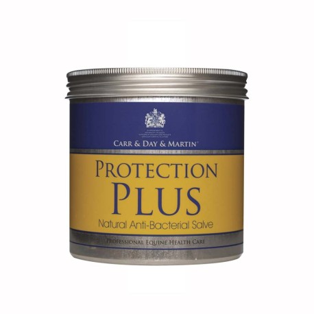 CARR&DAY MARTIN PROTECTION PLUS 500ML.