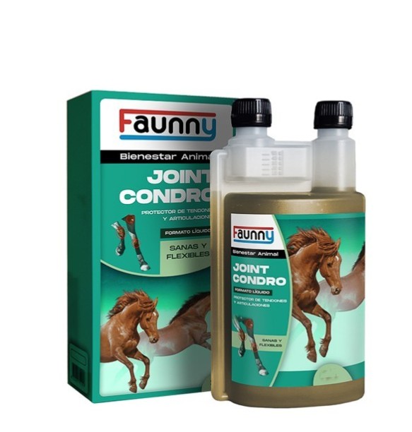 FAUNNY JOINT CONDRO -500 ML-