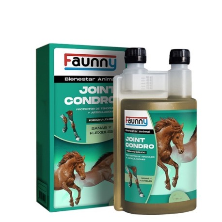 FAUNNY JOINT CONDRO -500 ML-