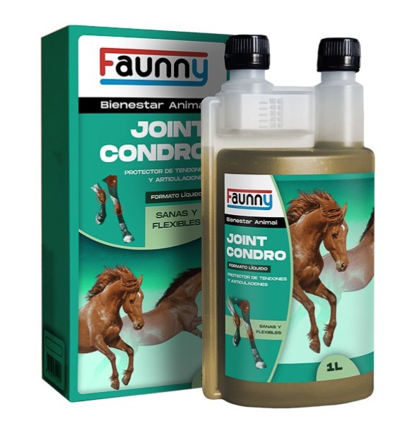 FAUNNY JOINT CONDRO -1000 ML-