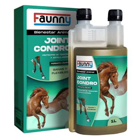FAUNNY JOINT CONDRO -1000 ML-