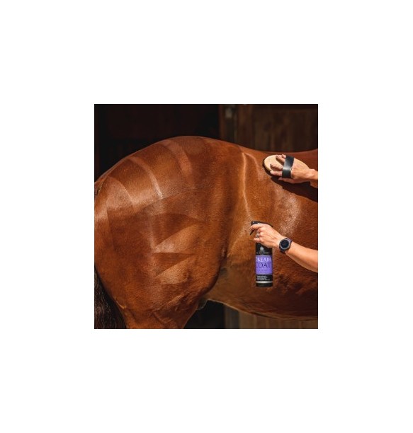 CARR&DAY MARTIN DREAM COAT BRILLO FINAL 500ML.