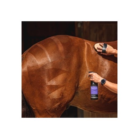 CARR&DAY MARTIN DREAM COAT BRILLO FINAL 500ML.