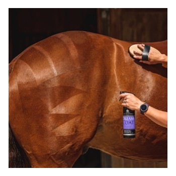 CARR&DAY MARTIN DREAM COAT BRILLO FINAL 500ML.