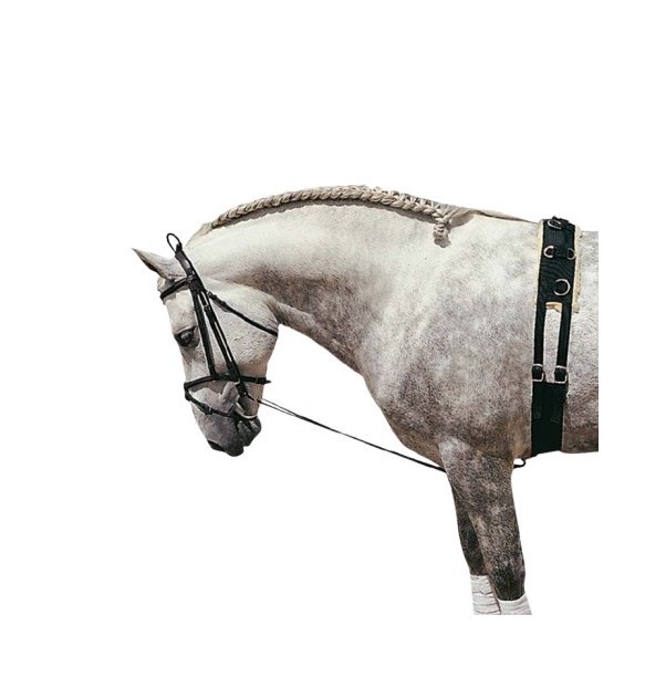 CHAMBON ELASTICO GOMA 4010K
