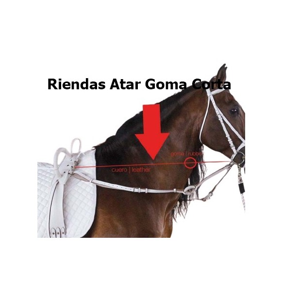 RIENDAS ATAR CUERO CON GOMA CORTA