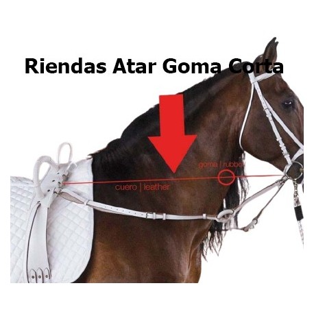 RIENDAS ATAR CUERO CON GOMA CORTA
