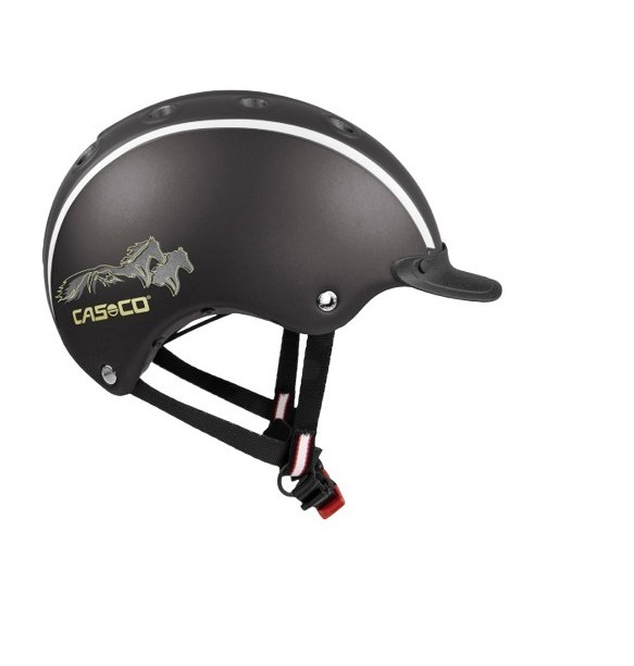 CASCO-CASCO CHOICE