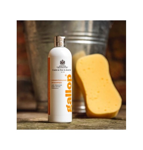 CARR&DAY MARTIN CHAMPU ACONDICIONADOR GALLOPP 500ML.